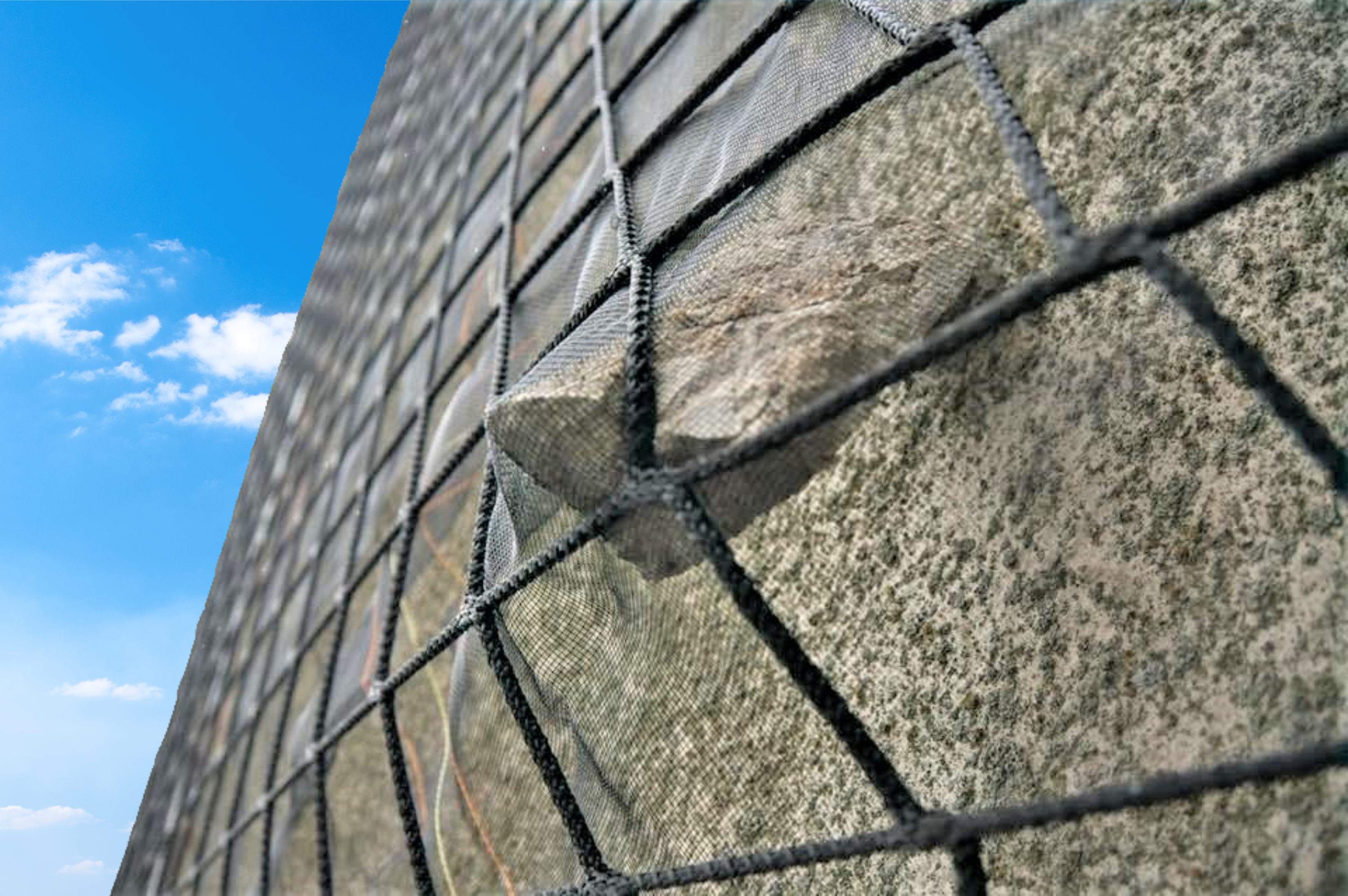 trampoline nets,Leon De Oro,8888332634